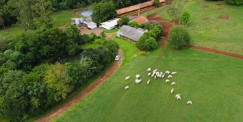 Foto: chacara-no-area-rural-medianeira-2719-89707b5324.JPG