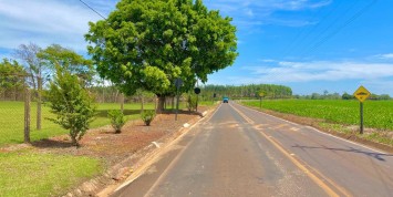 Foto: chacara-no-area-rural-santa-terezinha-de-itaipu-pr-1088-101a851ad9.jpg