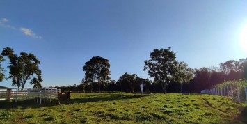 Foto: chacara-no-area-rural-santa-terezinha-de-itaipu-pr-1179-2bf096e96a.jpg