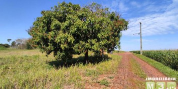 Foto: chacara-no-costa-oeste-santa-terezinha-de-itaipu-pr-2219-4ab0d838e0.jpg