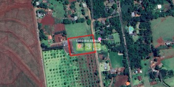 Foto: chacara-no-loteamento-recreio-paraiso-medianeira-parana-2752-6f17aea3fe.jpg