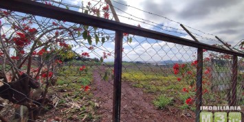 Foto: chacara-no-montreal-santa-terezinha-de-itaipu-pr-2245-3b8112c215.jpg