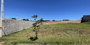 Foto: terreno-no-valparaiso-santa-terezinha-de-itaipu-pr-2694-c00fcc3d04.JPG